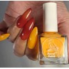 Parrot Polish Sunset Burn Solar Nail Polish - Orange/Red