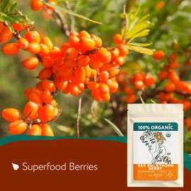 Organic Sea Buckthorn Berry (4oz.) – Superfood Berries for Immunity, Heart, Digestion, Liver, Skin - Sea Buckthorn Tea, Dried Seaberry, Seabuckthorn – Espino Amarillo