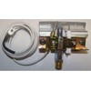 PT-N11 ODS PILOT ASSEMBLY RA18 Series cabinet heaters 230567