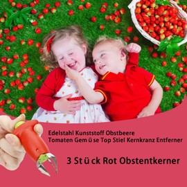 Fruit Corer 3 Pieces, Strawberry Starter, Strawberry Huller Tool, Used to Cut Leaf Handle for Strawberries, Pineapple, Potatoes (Red)