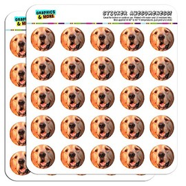 Golden Retriever Dog 2.5cm (1 inch) Scrapbooking Crafting Stickers