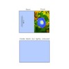 32 Different Flower Photo Blank Greeting Cards