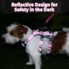 Huntboo Escape Proof Dog Harness Medium, Anti-Pull Dog Harness with