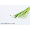 ZEUP 920942 Leaf POOLEAF 3 Piece Rollerball Pen