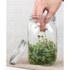 Sprouting Jar Kit 16oz Wide Mouth Mason Jars with Stainless