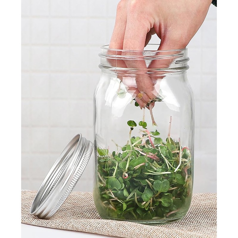Sprouting Jar Kit 16oz Wide Mouth Mason Jars with Stainless