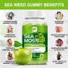 Beworths Irish Sea Moss Gummies 1200mg, Bone & Joint, Genuine