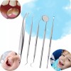 Veraly Set Herramientas Dentales Acero Inoxidable Con Estuche 5pz F