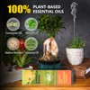 Citronella Incense Sticks - Suitable for Outdoor Camping, Patio, Hiking,etc