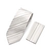 Enrico Gigli Formal Silk Necktie Pocket Square Set -