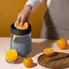 Oster Electric Citrus Juicer, High-Performance Silver 75 Watt Motor Electric
