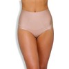 Nancy Ganz Women's Body Architect Waisted Brief, Warm Taupe, Large