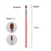 Lip Brush & Eye Shadow Brush - All-in-One Precision Eyeliner,