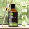 MAYJAM Pine Needles Essential Oil - 1.01 Fl.oz - Premium
