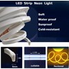 Maxlaxer Orange Neon LED strip light,5M 12V waterproof neon light