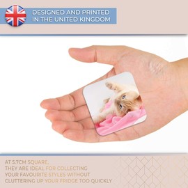 Destination Vinyl ltd Fridge Magnet - Cute Playful Cat Kitten Animal Pet for Office, Cabinet and Whiteboard, Magnetic Stickers, 44803