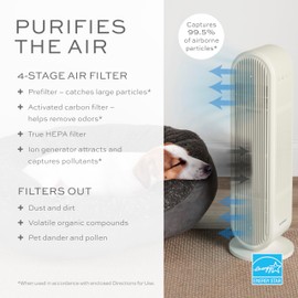 Conair Air Purifier, HEPA Air Filter, Air Purifier for Allergies, Dust, Pollen, Odor Control, Air Purifier for Medium Sized Rooms up to 200 Sq. Ft.