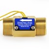 DIGITEN FS-C02 G3/4" BSP Male Thread Water Flow Switch 0-2A/