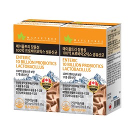 Maple Tree Enteric Coated 10 Billion Probiotics Live Lactobacillus 60 Capsules 2 Boxes 4 Months Supply / 메이플트리 장용성 100억 프로바이오틱스 생유산균 60캡슐 2박스 4개월분