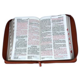 Biblia Letra Gigante 14 puntos con Cierre Reina Valera 1960 manual cafe con indice - Himno Cuan Grande es El