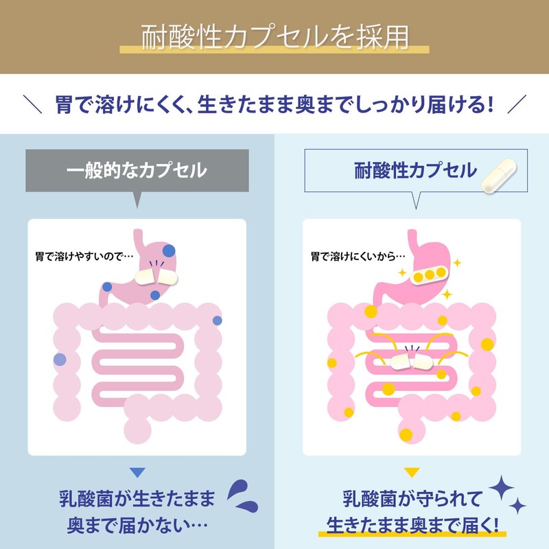 キント（KINT）フォービオ 納豆菌、乳酸菌・ビフィズス菌20種、酪酸菌、オリゴ糖３種、食物繊維、プロバイオティクス、プレバイオティクス