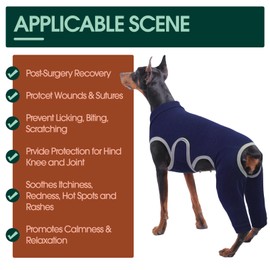 Kuoser Dog Surgery Recovery Suit, Professional Dog Surgical Suit for Back Legs, Soft Dog Recovery Sleeve to Prevent Licking Biting Wounds, Dog Onesie After Surgery Elbow Protector, Blue L