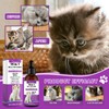 Vitamine Tropfen für Katzen, Nutrients for Cats, Unterstützung für Stoffwechsel