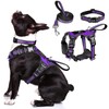 WINSEE Pet Harness Collar and Leash Set, All-in-one Reflective Dog
