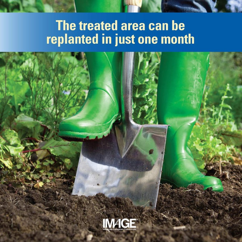 Image Brush & Vine Killer Concentrate, 32 oz