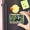 1 x Fridge Magnet -European Forest Badger Classic Fridge Magnet