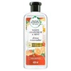 Shampoo BioExpert Shampoo 650 g