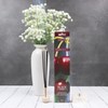 Hosley Black Cherry Fragrance Incense Sticks Essential Oils Infusion for