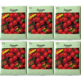 (6 Pack) 150 mg/Package of Cherry Tomatoes Heirloom Variety Seeds