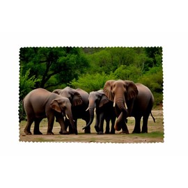 U24 Glass Cleaning Cloth for Glasses Elephant Motif No. 10 Microfibre Cloth