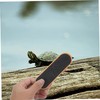 BESPORTBLE Turtle Skateboard Scooter Accessory for Bearded Dragon Reptile Parrot