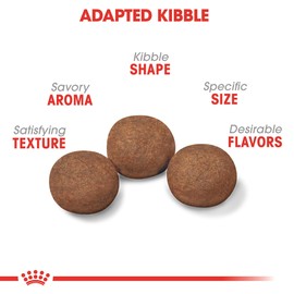 Royal Canin Size Health Nutrition Medium Puppy Dry Dog Food, 4 lb