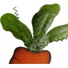 YK Decor Metal Easter Carrot Garden Stake Decorative Yard Sign