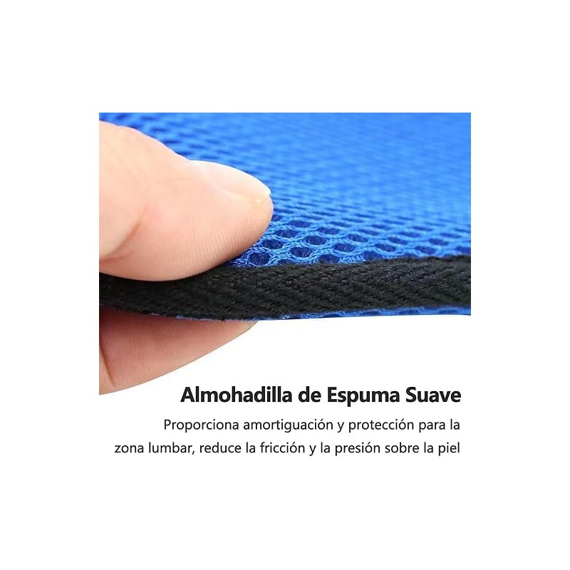 Cinturón de Seguridad para Silla de Ruedas, Correas de Arnés