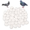 aleawol Pack of 50 Fake Pigeon Eggs, Solid Plastic Pigeon