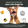 Barkbox Super Chewer Tough Dog Chew Toys for Aggressive Chewers,