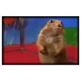Magnet #152 Dramatic Gopher Chipmunk Meme Viral Internet Video Hello! Morning