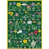 Cavallini Decorative Paper - Wildflowers #2 20"x28" Sheet