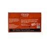 steep Organic Chai Black Tea 20 Count Box (Pack of