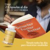 Focus Nootropicos Melena De Leon Bacopin L Glutamina Moods
