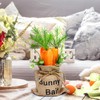 Fruasio 2Pcs Easter Carrot Decorations, Spring Farmhouse Decor with Burlap