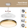 Lightania 15 Inch Flush Mount Ceiling Light with Remote Control
