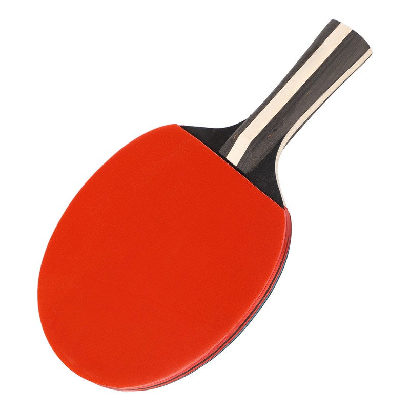 REGAIL Ping Pong Paddle Set Portable Table Tennis Set With