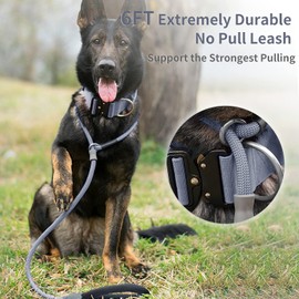 Strong Slip Rope Dog Training Leash (4ft) - Heavy Duty Durable Braided Nylon Lead with Rubber Stopper & Padded Handle - No Pull Walking Climbing for Medium Large Dogs (Grey, 1/2" x 6ft)