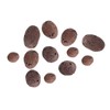 Sren Convenient Clay Pebbles Growing Media, Reusable Anion Clay Rocks,