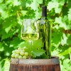 WUWEOT 12 Pack Plastic Wine Bottles, 750ml Empty Bordeaux-Style Liquor